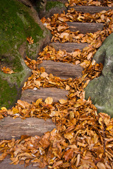 Herbst in der Sächsischen Schweiz