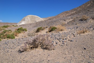 White mud hill along Salt Creek boardwalk, Death Valley NP