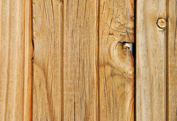 Obraz premium Wooden planks