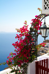 Santorini. Greece.