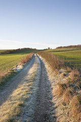 Frosty Road