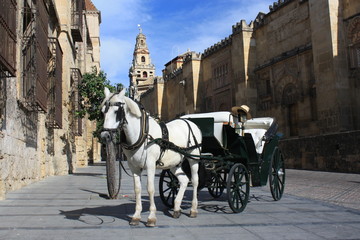 Plakat konny barouche przed Mezquite w Kordobie
