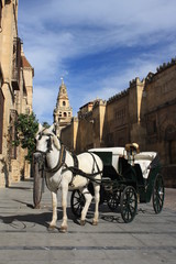 Obraz na płótnie Canvas Koń driven przewozu w Kordobie