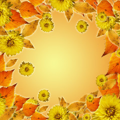 Obraz premium Autumn leaves and flowers