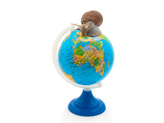 The snail creeps on the globe