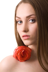 lovely woman portrait with rose isolated