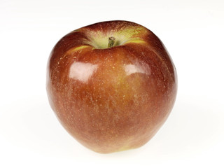 Spartan Engilish Apple