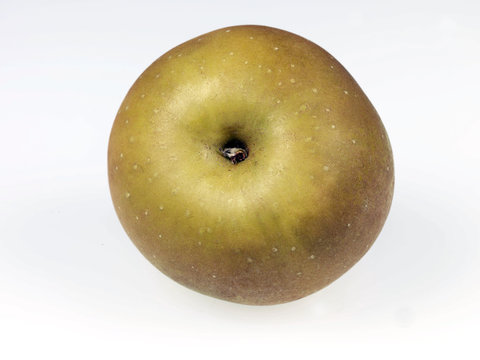 Russet Apple