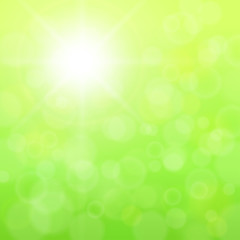 Abstract background green and sunny.