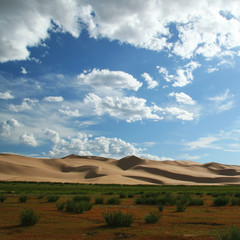 Fototapeta na wymiar dune di sabbia nel deserto mongolo