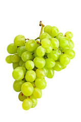 Grape