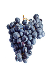 Grape