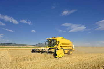 Combine harvesting a wheat field