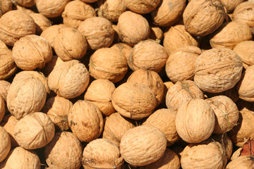 walnut background