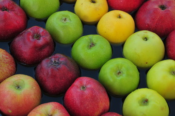 apples