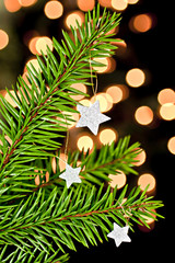Fir branch with the stars.