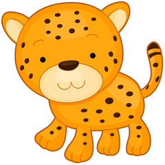 Cheetah