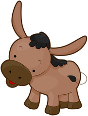 Donkey