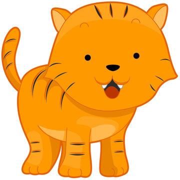 Baby Tiger