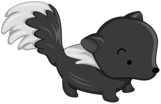 recommend clip art: Skunk