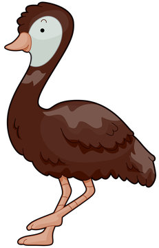 recommend clip art: Emu