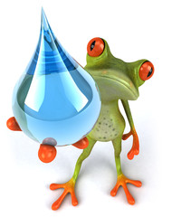 Grenouille et eau