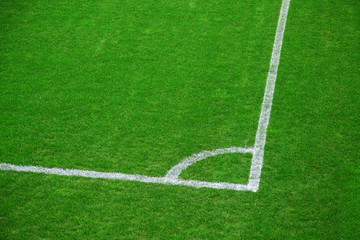 Obraz premium field corner