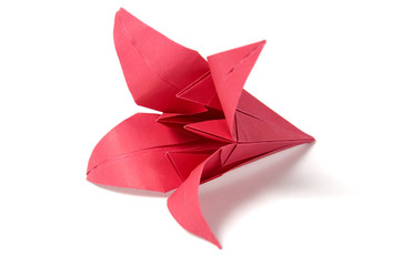 Origami flowers isolated on white background - obrazy, fototapety, plakaty