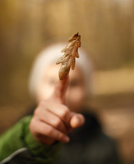 Boy catching a falling leaf