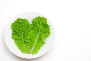 皿の上のカッティングレタス