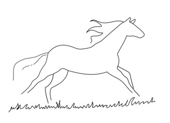 Horse