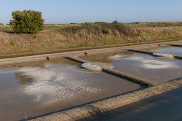 Cristallisation du sel dans les marais salants de Guérande