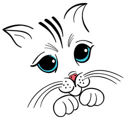 cute little innocent kitty