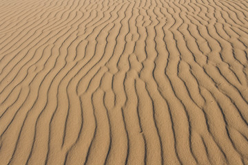 Sand Background Texture
