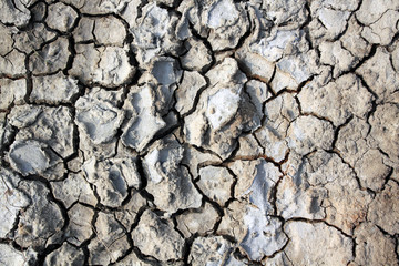 Dry soil with crack