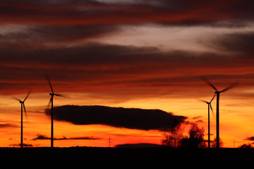 Windräder bei Sonnenuntergang