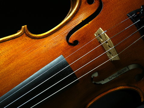 violin 04