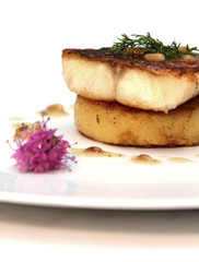 sea bass file