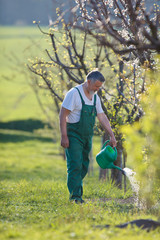 watering orchard/garden - portrait of a senior man gardening in