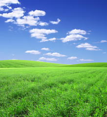 Fototapeta premium Beautiful landscape