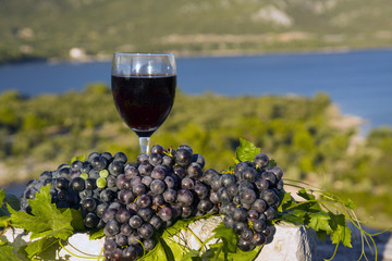 Glass of wine and grapes