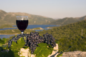 Glass of wine and grapes on stone