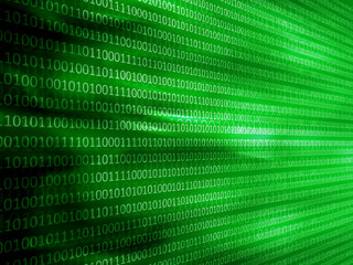 Matrice Binaire Verte