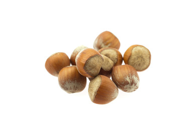 hazelnuts isolated on white