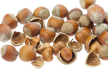 hazelnuts isolated on white