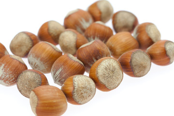 hazelnuts isolated on white