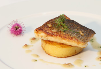 fish file