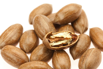 Pecan isolated on white