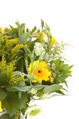 Bouquet of yellow flowers over white background