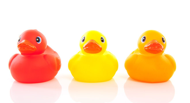 Three colorful ducks over white background